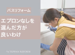 bathroom-redorm-without-apron-merit-demerit